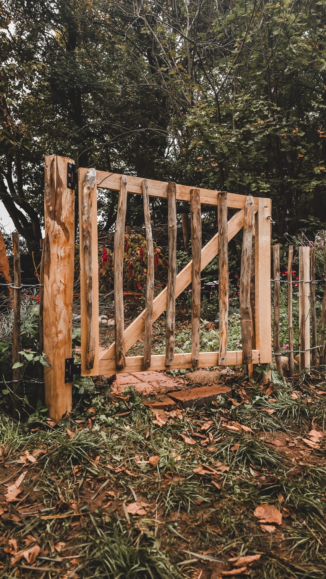 8e7a977a 1470 4d01 ab3d a8c9ce16e508